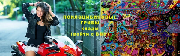 круглые Тайга