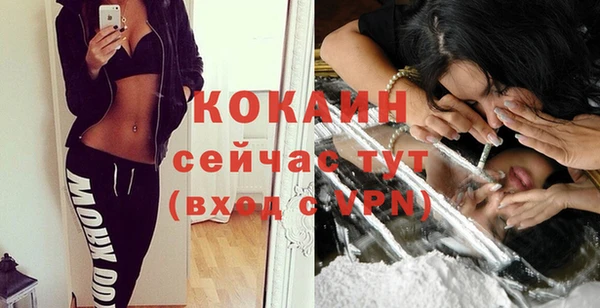 круглые Тайга