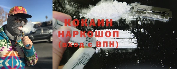 круглые Тайга
